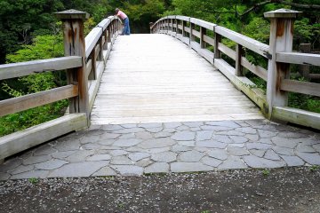 <p>Looking across the bridge</p>