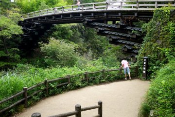 Saruhashi - the Monkey Bridge