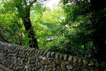 <p>Distant glimpse of the bridge through the trees</p>