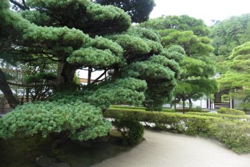 <p>Avant d'entrer dans l'espace o&ugrave; se trouve le Pavillon d'argent, le visiteur passe par un magnifique jardin</p>