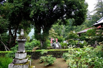 <p>The garden is varied and beautiful</p>