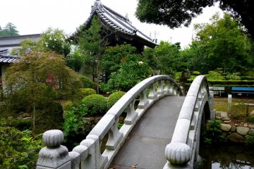 <p>Arched bridge over the pond</p>