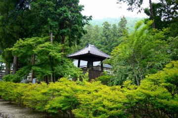 <p>The bell tower was almost hidden from the approach by trees</p>