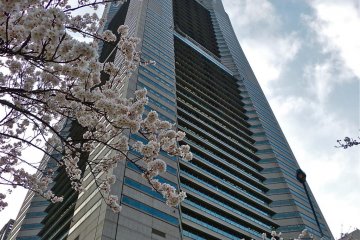 Landmark Tower