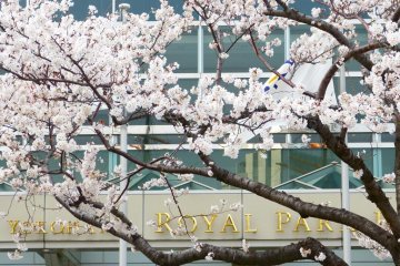 Royal Park Hotel in spring