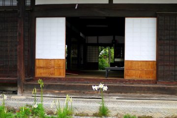 <p>Lilies bloomed in the garden</p>