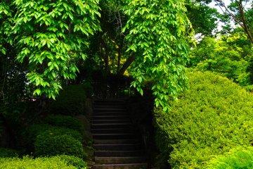 <p>A cool staircase &ndash;&nbsp;the park offers shade in the hot summer months</p>