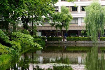 <p>Reflections on the old moat outside Iwate Kōen</p>