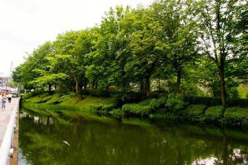 <p>The remains of the moat that surrounded the castle, filled with koi</p>