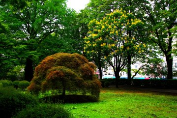 <p>Beautiful greens, reds and browns of the park</p>