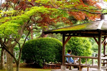 Iwate Kōen, Morioka