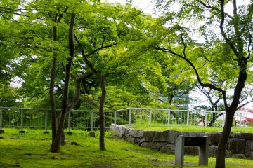 <p>It's easy to forget that Iwate Kōen&nbsp;is right in the heart of Morioka</p>