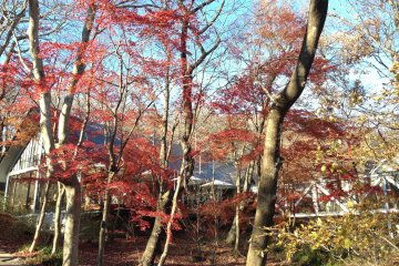 <p>Seiji Fujishiro&nbsp;Gallery &amp; Museum: The celebrated Kiri-e (Japanese art of paper cutting) artist has a stunning gallery in Nasu Highlands</p>