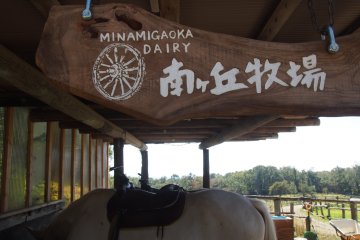 <p>Minamigaoka Dairy: Action packed ranch with everything from animal rides, trout fishing, a petting zoo and local produce</p>