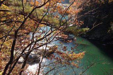 <p>The walking trails have some stunning views and are pretty all year round</p>