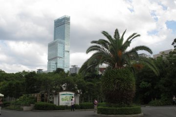 <p>Tennoji Zoo lies in the metropolis of Osaka city</p>