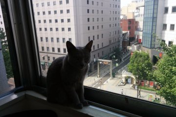 <p>"Pemandangan dari atas ini sangat Sem-Purr-na"</p>