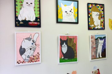 <p>Gambar Kucing di dinding</p>