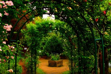 <p>Rose Garden di luar Music Forest Museum.</p>
