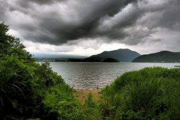<p>Gaps in the greenery where the walkways border the lake</p>