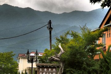 <p>A dead tree under the heavy clouds</p>