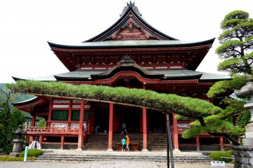 <p>A very long pine branch had been trained across the front of the temple</p>