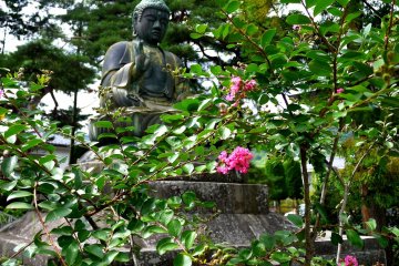 <p>This statue of Buddha seems to be blessing the flowers</p>