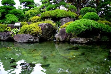 <p>Kai-Zenkoji had one of the clearest ponds I've ever seen</p>