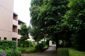 <p>Outside Higako Sports, my residence in Higashi-Koganei</p>