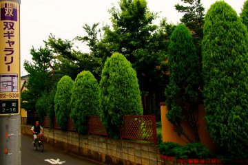 <p>Tree lined suburban streets</p>
