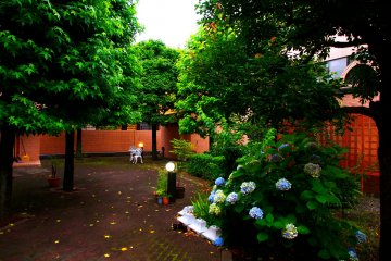 <p>The calm courtyard of Higako Sports in Higashi-Koganei</p>