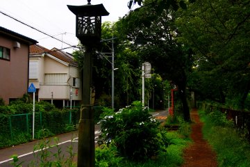Staying in Suburban Tokyo