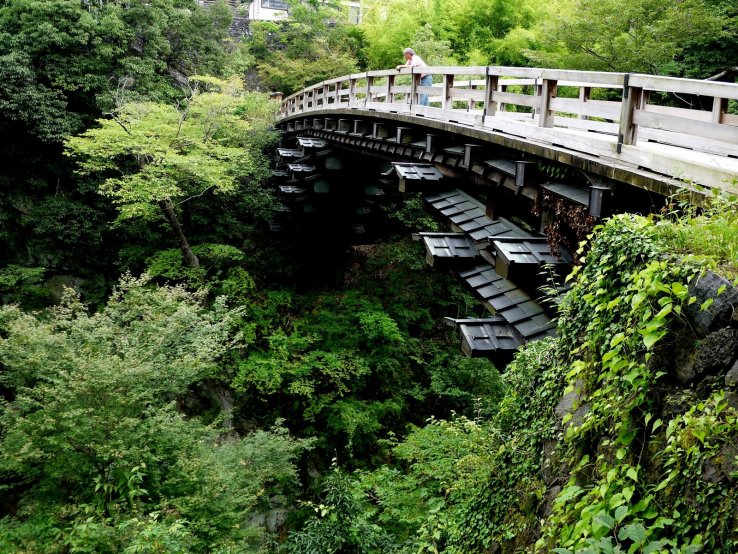 <p>Saruhashi - the Monkey Bridge</p>
