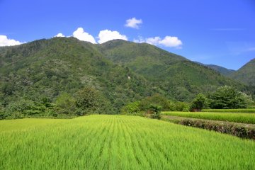 <p>Enroute to&nbsp;Shirakawago, Gifu</p>