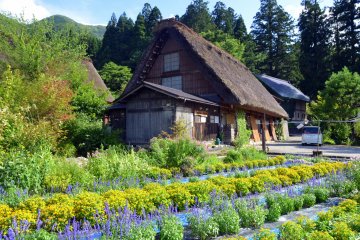 Summertime in Shirakawago