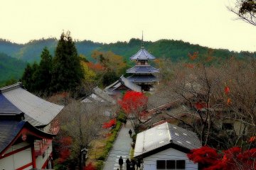 <p>A pagoda is one of many buildings in the temple complex</p>