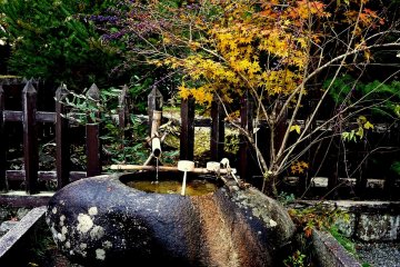 <p>Water basin formed from a large stone</p>