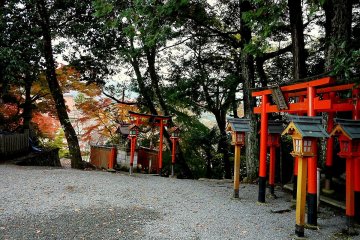 <p>Red tori and wooden lanterns</p>