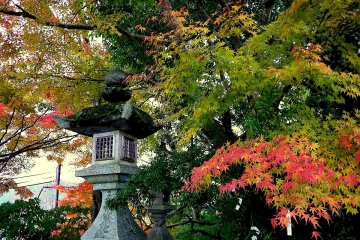 <p>Moss covered stone lantern</p>