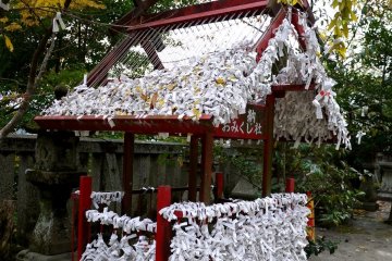 <p>A little house of fortune papers</p>