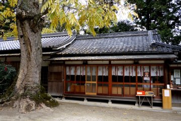 <p>Shrine building under the trees</p>