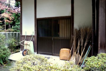 <p>There will be a lot of leaves to sweep up soon!</p>