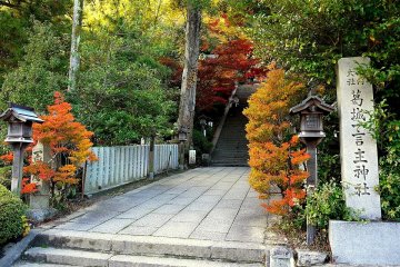 <p>Autumn color glows around the steps to the shrine</p>
