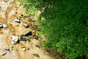 Dasar Sungai Omiya memiliki warna pasir yang cerah
