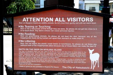 <p>In spite of the sign people feed the deer all kinds of inappropriate things, but you wouldn't do that, would you?</p>