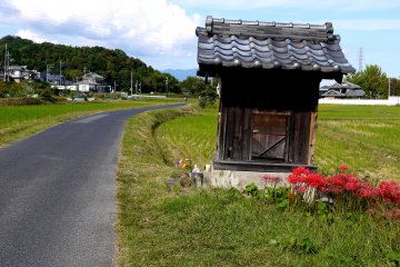 <p>Splash of color beside a small roadside shrine</p>