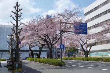 Heiwa Dori 