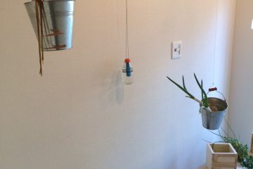<p>One of the exhibition in Koganecho Bazaar. The artist mentioned that visitors should help these plants grow.</p>