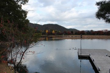 <p>Osawa&nbsp;Pond</p>