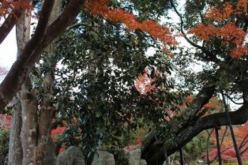 <p>The autumn evening wraps around the statues, producing their progressively thicker shadows</p>
